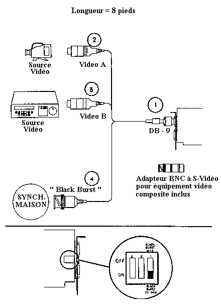 Dessin du C&acirc;ble d'entr&eacute;e vid&eacute;o de Photo+